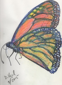 butterfly 3-2015
